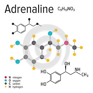 Chemical formula of the vector adrenaline molecule photo