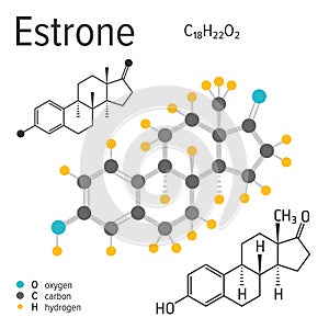 Chemical formula of the vector estrone molecule