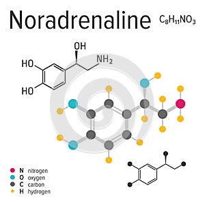 Chemical formula of a vector noradrenaline molecule photo