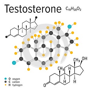 Chemical formula of a vector testosterone molecule