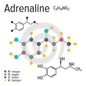 Chemical formula of the vector adrenaline molecule