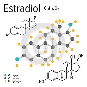Chemical formula of the vector estradiol molecule