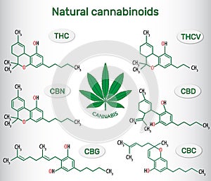 Chemical formulas of natural cannabinoids in cannabis : tetrahydrocannabinol (THC), tetrahydrocannabivarin (THCV) , cannabidiol (