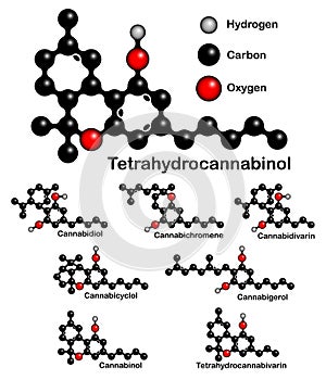 Chemical formulas of natural cannabinoids.