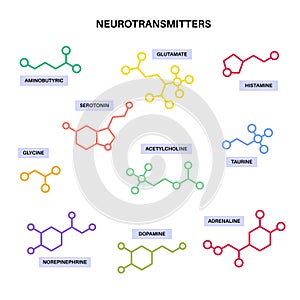 Chemical formulas of neurotransmitters