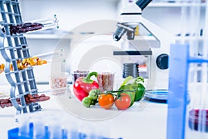 Chemical Laboratory of the Food supply . Food in laboratory, dna modify .GMO Genetically modified food in lab photo