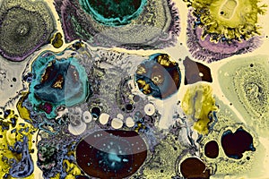 Chemical madness. Organic circular shapes. Liquid surface. photo