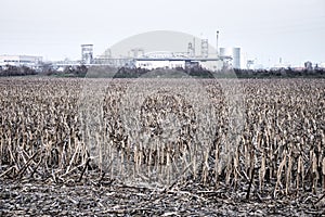 Chemical plant in the countryside. Color image