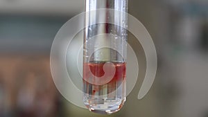 Chemical reaction in a test tube