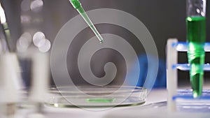 Chemical research scientist working in the lab with colorful liquids