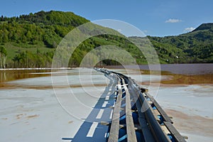 Chemical spills at the lake from Geamana in the Apuseni Mountains, Romania