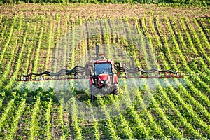 Chemical spraying of ripening cornfield plants