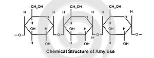 Chemical Structure of Amylose.