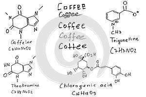 chemical structure of coffee. caffeine formula.