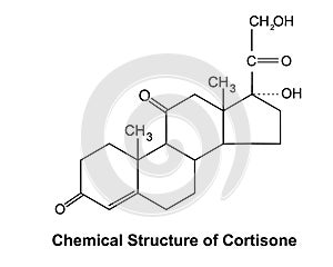 Chemical Structure of Cortisone.