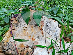 Chemical weathering of granite rocks