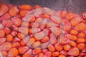 Chemically treated corn maize seed in seeding machine