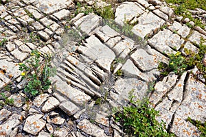 Chemically weathered cracks in limestone