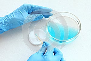 Chemist at blue glowes at laboratory. testing with glass plate, blue liquid and sampler on his hands. viruses and health care