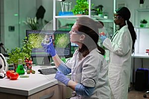 Chemist researcher woman doctor holding petri dish with green leaf sample