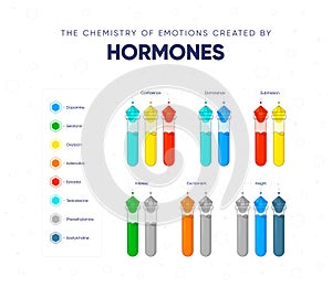 The chemistry of emotions created by hormones vector illustration