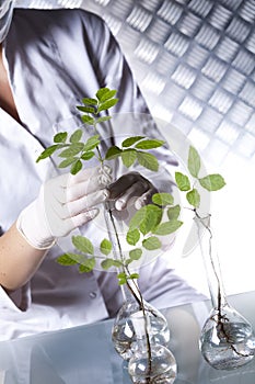 Chemistry equipment, plants laboratory experimental photo