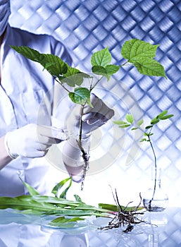 Chemistry equipment, plants laboratory experimental