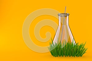 Chemistry flasks on grass