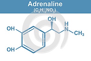 Chemistry illustration of Adrenaline in blue