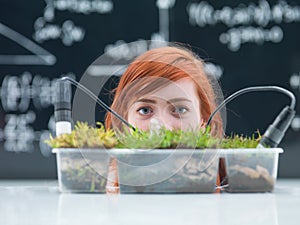 Chemistry lab grass experiment