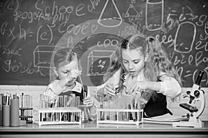 At chemistry lesson. Little school children holding test tubes at lesson. Small schoolgirls learning lesson at school