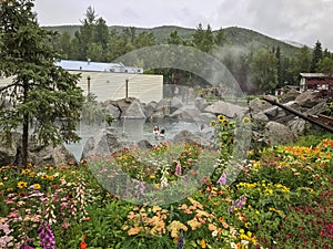 Chena Hot Springs Resort, Alaska
