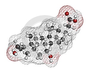 Chenodeoxycholic acid drug molecule. 3D rendering. Atoms are represented as spheres with conventional color coding: hydrogen ( photo