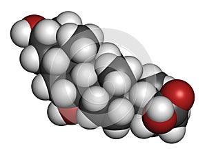 Chenodeoxycholic acid drug molecule. 3D rendering. Atoms are represented as spheres with conventional color coding: hydrogen ( photo