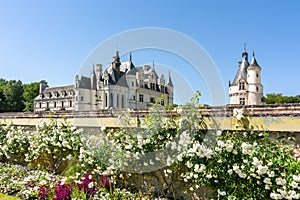 Chenonceau Castle Chateau de Chenonceau in Loire valley, France