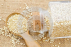 Chenopodium quinoa seeds.