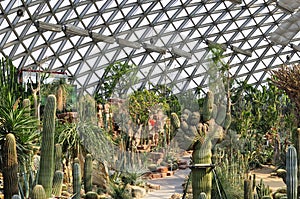 Chenshan Botanical Garden Desert Greenhouse