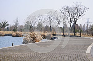 Chenshan Botanical Garden Walkway