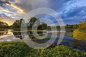 Cher River, Pays de la Loire, France