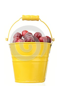 Cheries in colorful yellow metal bucket