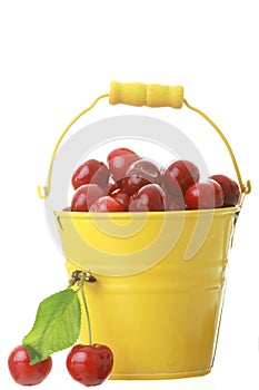 Cheries in colorful yellow metal bucket