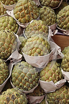 Cherimoya fruit photo