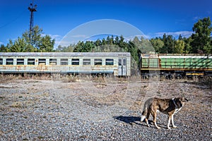 Chernobyl exclusion area