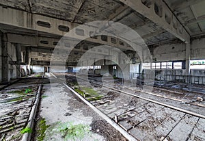 Chernobyl exclusion area