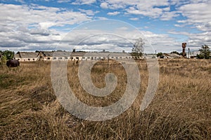 Chernobyl exclusion area