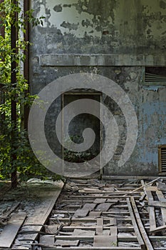 Chernobyl exclusion zone