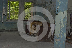 Chernobyl exclusion zone