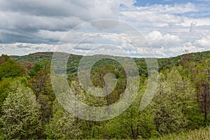 Cherohala Skyway in North Carolina