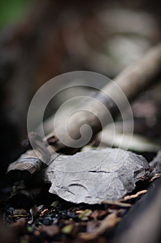 Cherokee hand axe