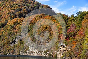 Cherokee National Forest along the Watauga River Valley in Tennessee, USA